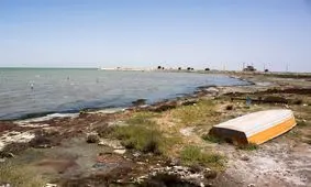 مرگ تنها خلیج ایرانی خزر به روایت تصویر