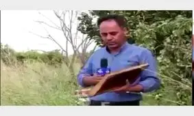 حمله زنبورها به خبرنگار صدا و سیما در حین گزارش