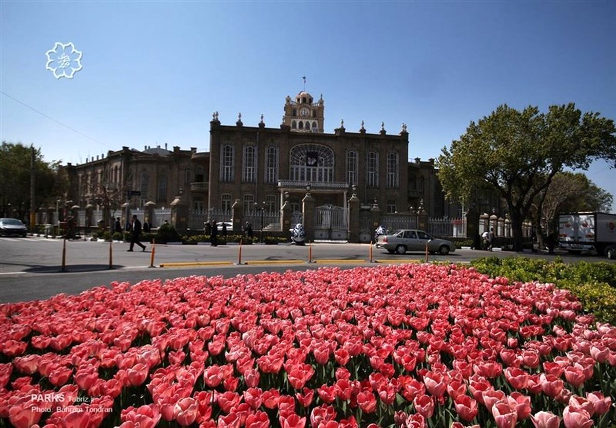 بیش از ۲ میلیون گل لاله بهار ۹۶ در تبریز کاشته میشود