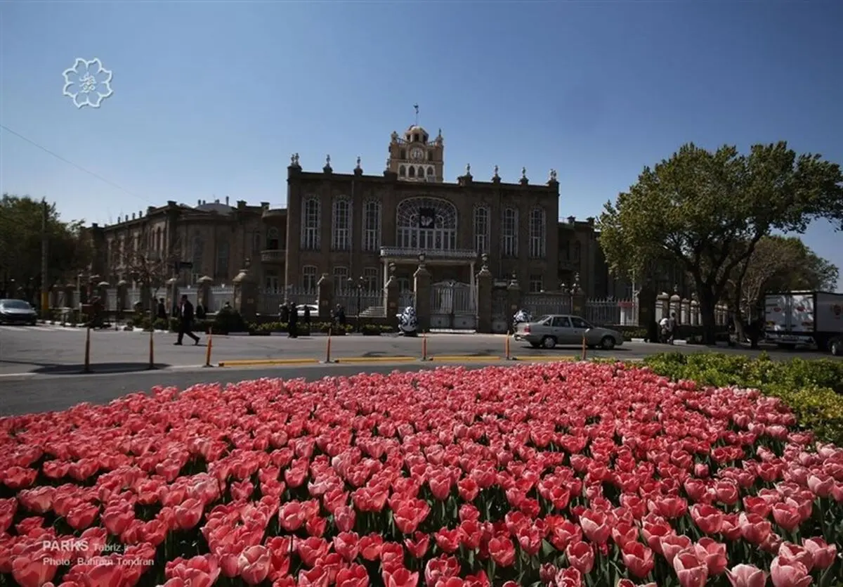 بیش از ۲ میلیون گل لاله بهار ۹۶ در تبریز کاشته می‌شود