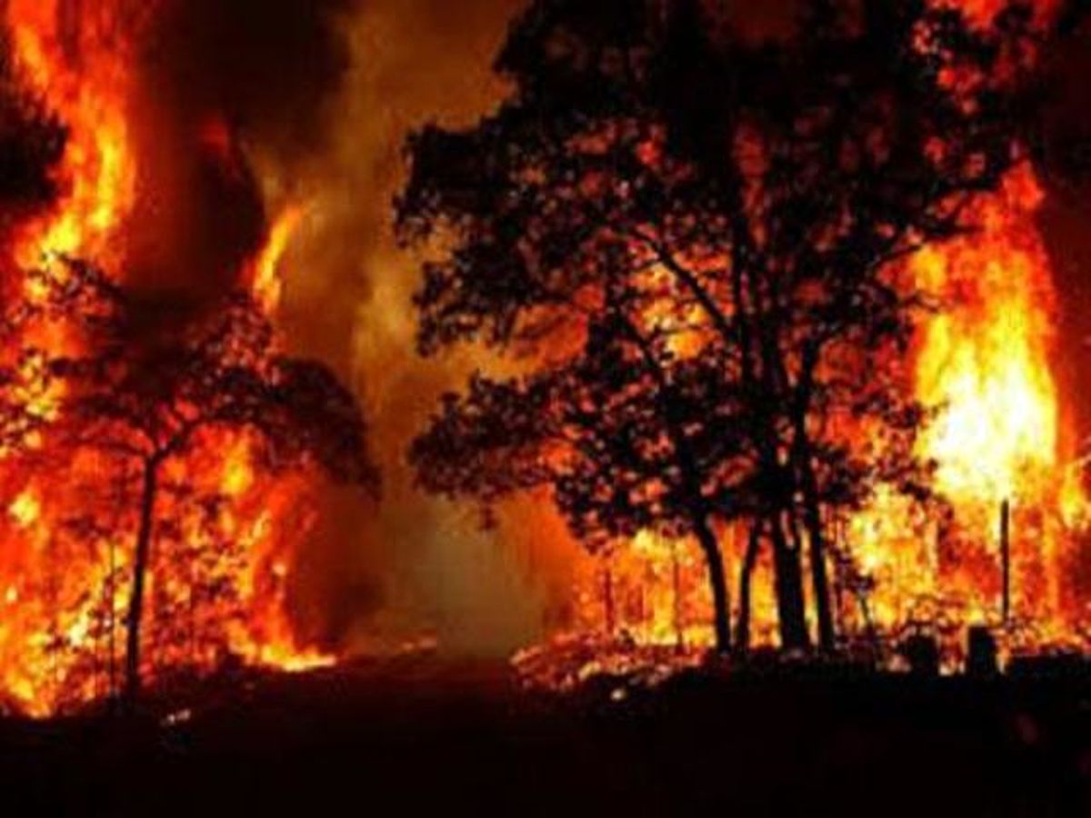۸۰ هکتار از مراتع "نورآباد" در آتش سوخت