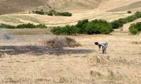 آتش سوزی در مراتع بیله سوار مهار شد