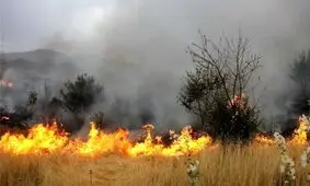 افزایش تعداد جان باختگان آتش سوزی در مراتع مریوان