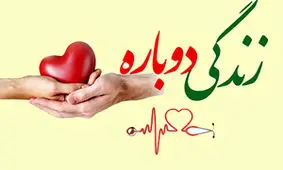 اهدای اعضای بیمار مرگ مغزی