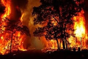 افزایش فوتی‌های آتش‌سوزی مریوان به ۴ نفر