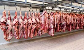 ۵۴۹ کیلوگرم گوشت احتکار شده در ایلام وارده چرخه توزیع شد