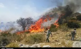 اسامی جان‌باختگان آتش‌سوزی روستای "پیله و سلسی" مریوان