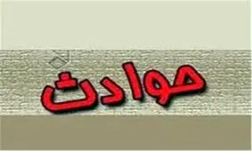 ۶کشته ومجروح در برخورد پژو با شتر