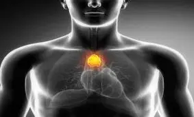 بهترین رژیم غذایی برای بیمارانی که به کم کاری تیروئید مبتلا هستند چیست؟