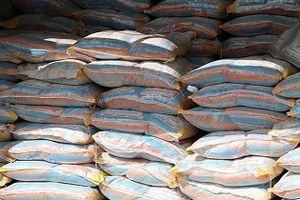 توقیف برنج های احتكار شده در تيران و كرون
