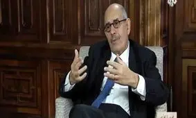 البرادعی خطاب به کشورهای عربی: در مجازات فلسطینیان شریک شده‌ایم