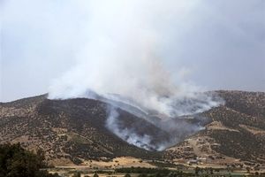 مهار آتش‌سوزی جنگل‌های مریوان توسط ارتش