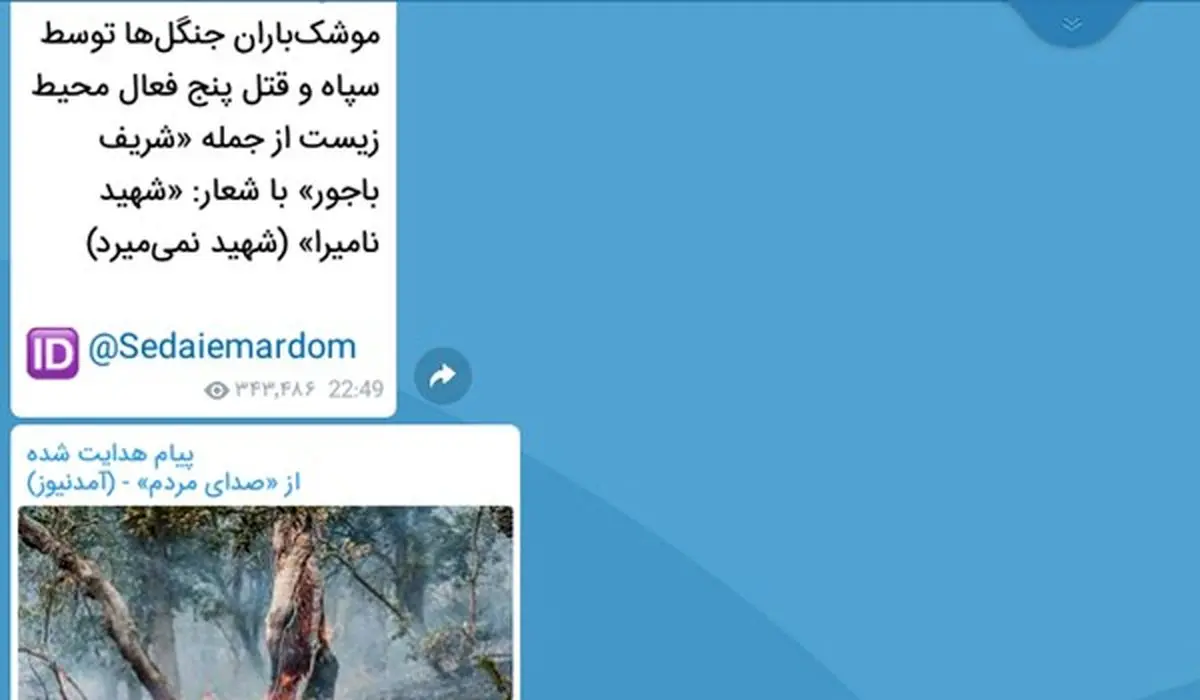 آتش زدن جنگل های مریوان کار چه کسی بود؟