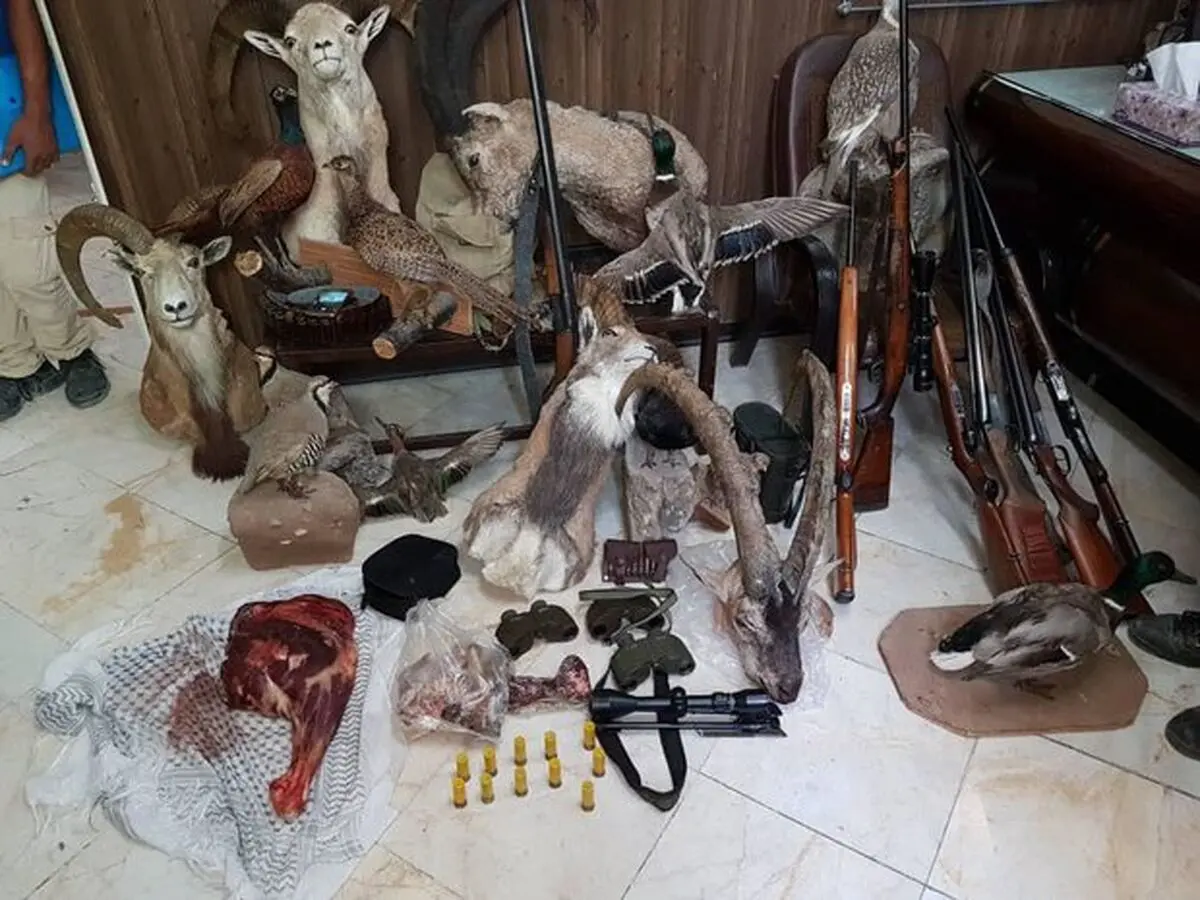 دستگیری ۳ نفر شکارچی غیرمجاز در پارک ملی لار