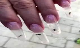 مانیکور ناخن با مورچه های زنده +تصاویر