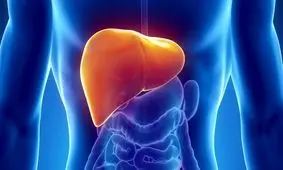 کدام خوراکی ها سلامت کبد شما را تهدید می کنند؟