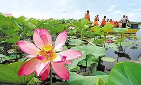 پروژه سد لاسک نابودی تالاب بین‌المللی را رقم می‌زند