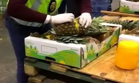 ویدئو: شگرد عجیب و غریب قاچاقچیان برای انتقال مواد مخدر