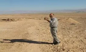 تحویل یک پرنده کمیاب به محیط‌زیست