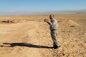 تحویل یک پرنده کمیاب به محیط‌زیست