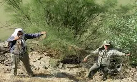 ۱۰۰ متر تور صیادی از رودخانه قزل اوزن جمع آوری شد