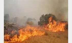 نبود امکانات، علت جانباختن 4 نفر در آتش سوزی های اخیر مریوان است