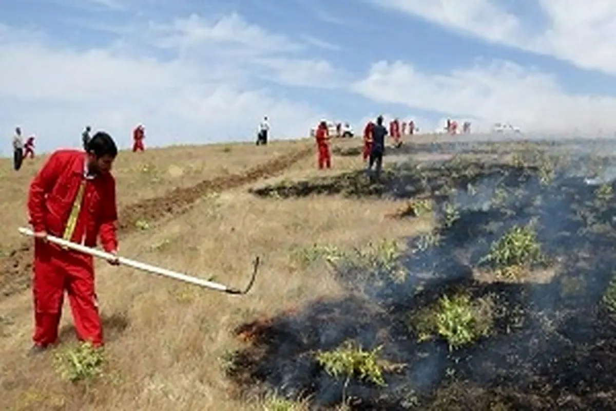 حریق مراتع و جنگل های طارم در استان قزوین مهار شد