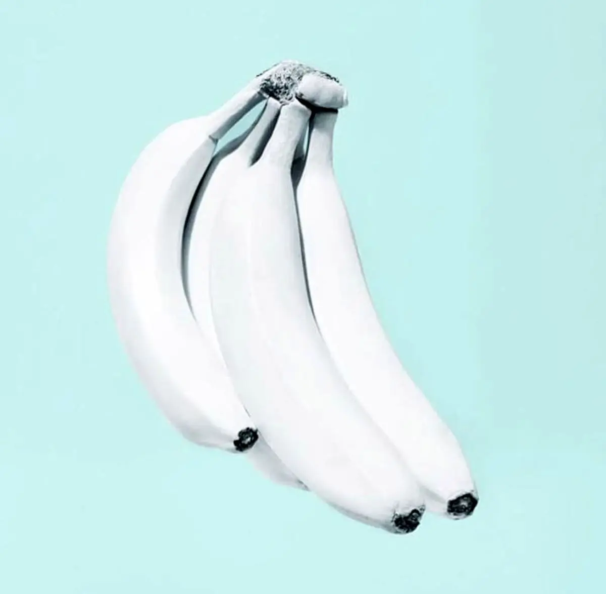 طرح های خلاقانه و باحال با موز!