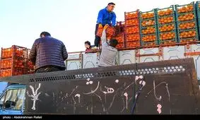 پشت پرده گرانی میوه در داخل میادین بزرگ میوه و تره بار