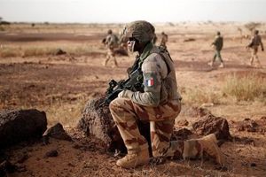 ارتش فرانسه از کشته شدن عضو ارشد داعش در مالی خبر داد