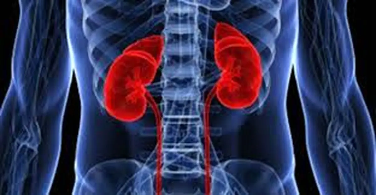 قاتل کلیه‌ها را بشناسید