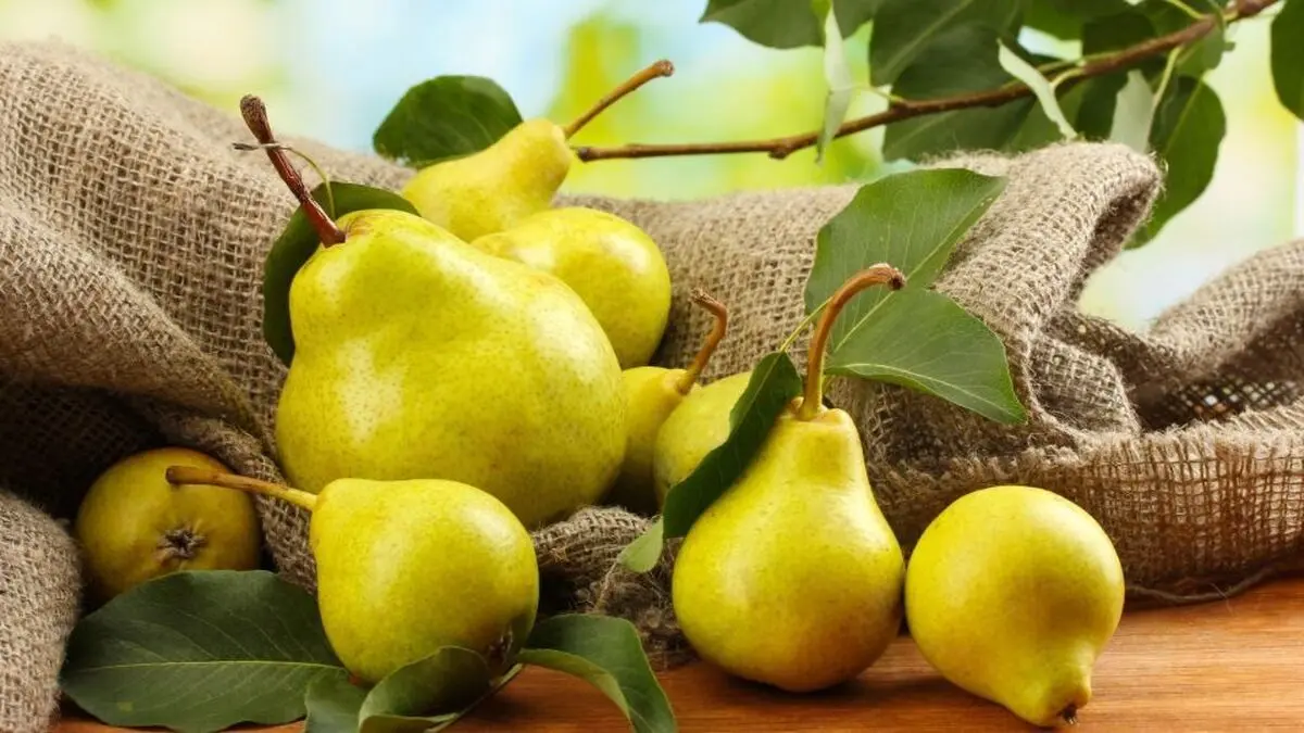 با فواید این میوه شیرین و آبدار برای سلامتی بدنتان آشنا شوید
