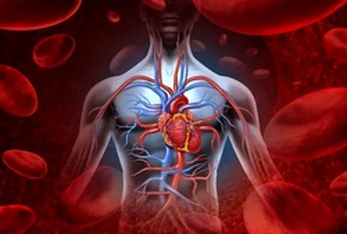 کدام ویتامین‌ها در گردش خون موثر هستند؟