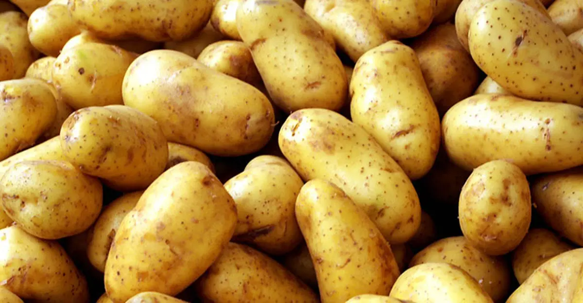 4 خاصیت شگفت انگیز سیب زمینی برای سلامت بدن