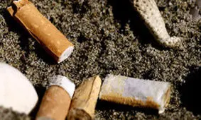 سیگار بلای جان اقیانوس ها می شود!