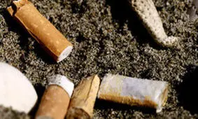 سیگار بلای جان اقیانوس ها می شود!