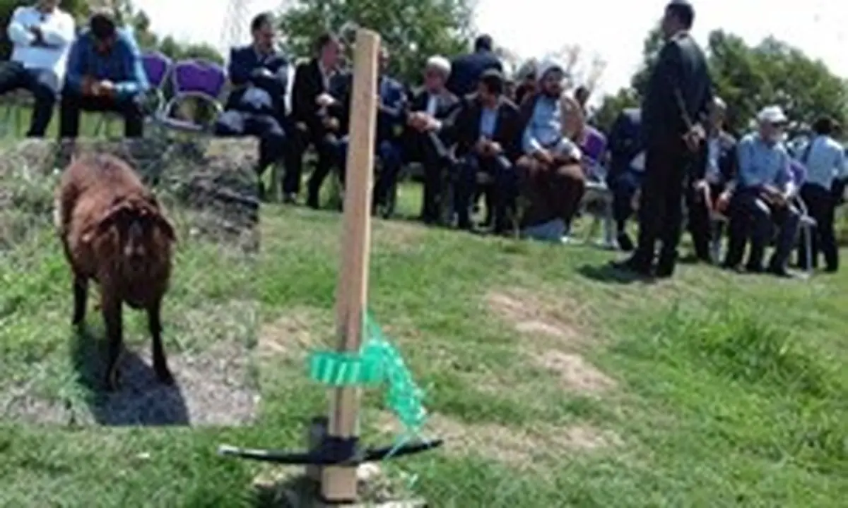 کلنگی که زمین‌گیر شد و گوسفندی که جان سالم به در برد