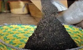 پیشنهاد کاهش سالانه ۲۰ درصدی واردات چای برای حمایت از تولید داخل