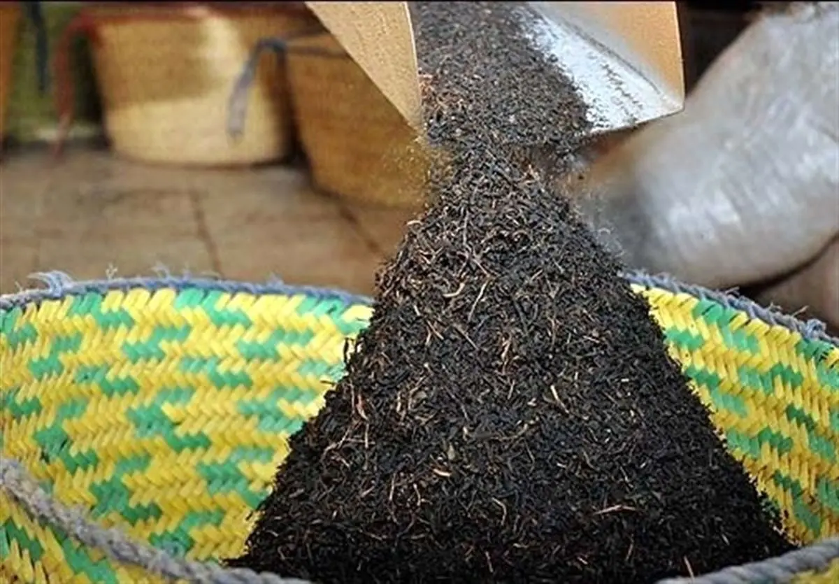 پیشنهاد کاهش سالانه ۲۰ درصدی واردات چای برای حمایت از تولید داخل