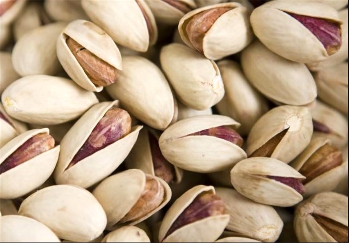 رشد ۱۹ درصدی صادرات پسته ایران به اروپا/ مغز پسته ایران پرطرفدارتر از آمریکا