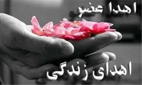 بانوی زاهدانی به چهار بیمار زندگی دوباره بخشید