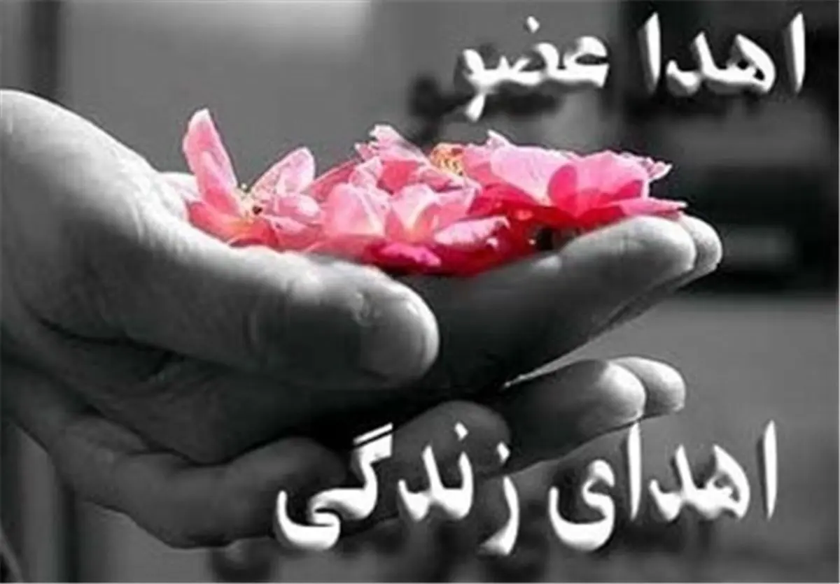 بانوی زاهدانی به چهار بیمار زندگی دوباره بخشید