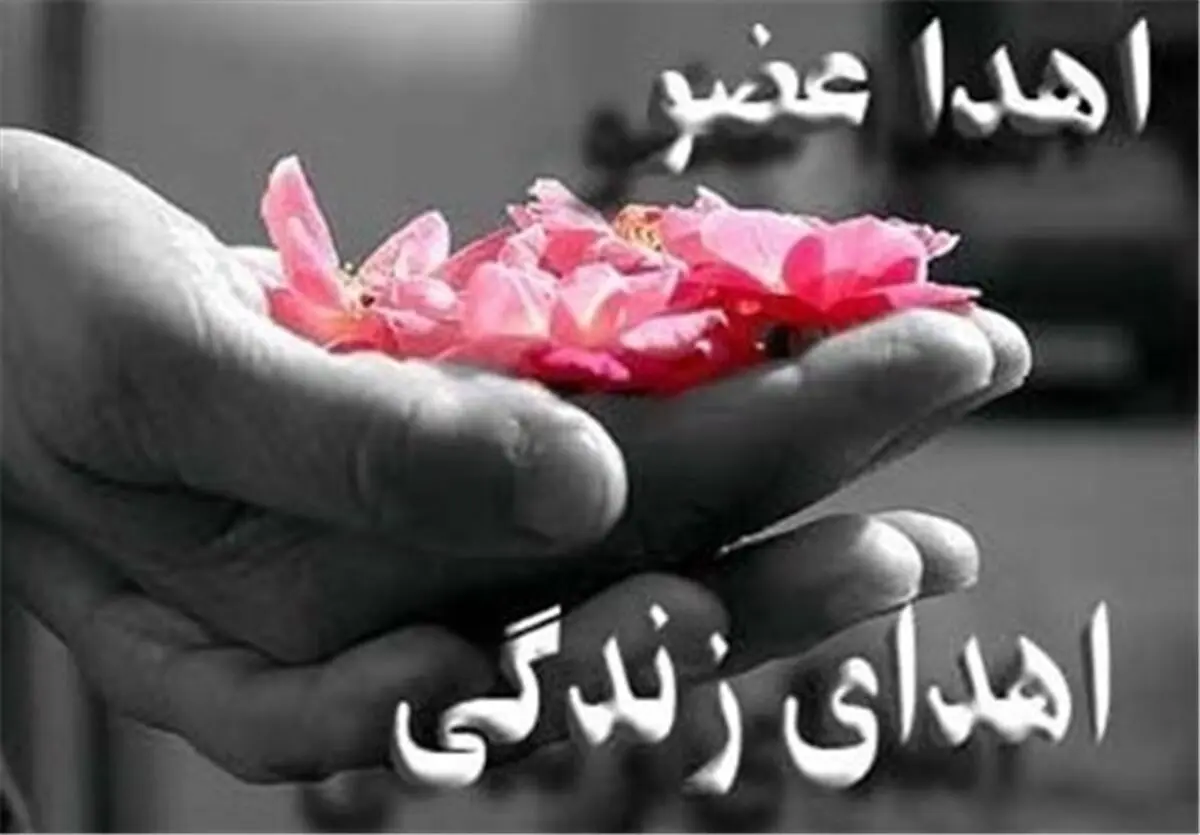 بانوی زاهدانی به چهار بیمار زندگی دوباره بخشید