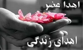 بانوی زاهدانی به چهار بیمار زندگی دوباره بخشید