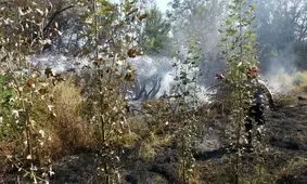 وقوع حریق در مراتع دوراهان از توابع شهرستان بروجن