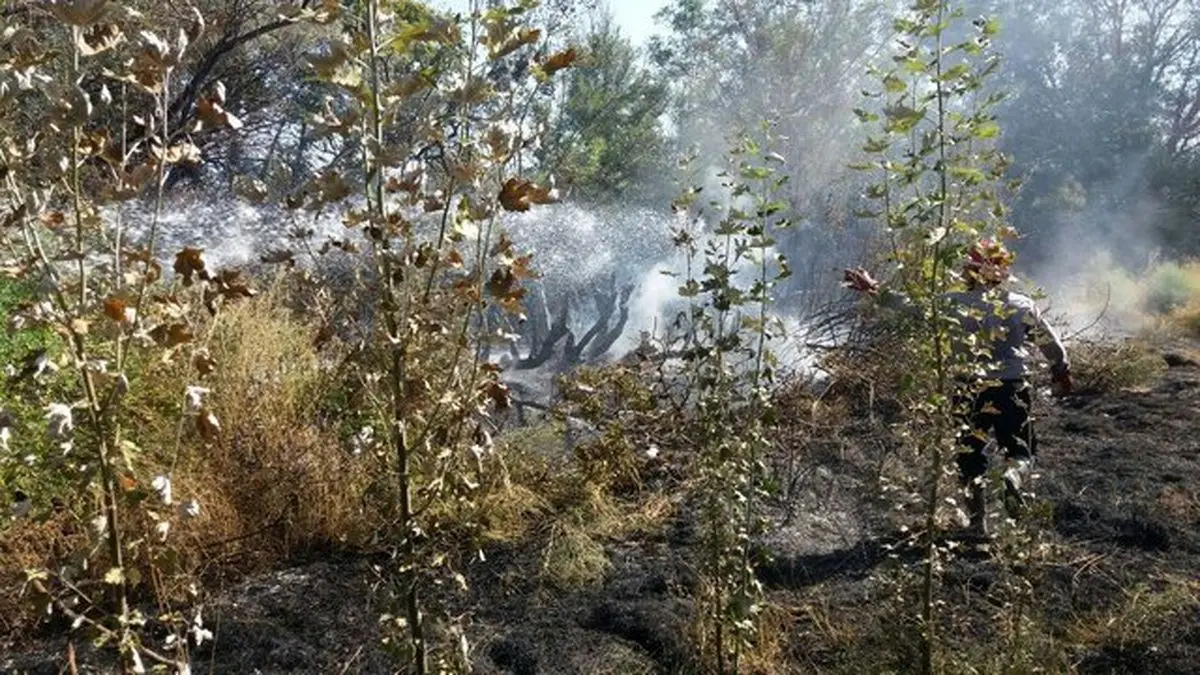 وقوع حریق در مراتع دوراهان از توابع شهرستان بروجن