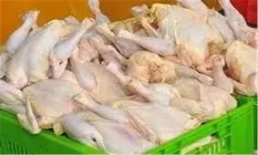 ۵۰۰۰ تن گوشت سفید از شهرستان کوهدشت صادر شد