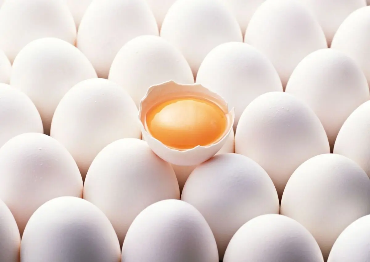 قیمت تخم مرغ در غرفه تره بار چقدر است؟