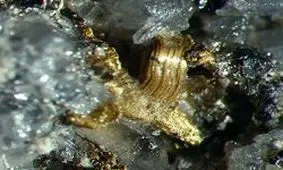 برداشت 10 کیلوگرم طلا از معدن توزلار در سال