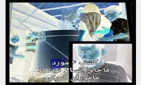 6 مورد قاچاق انسان در گمرک لو رفت